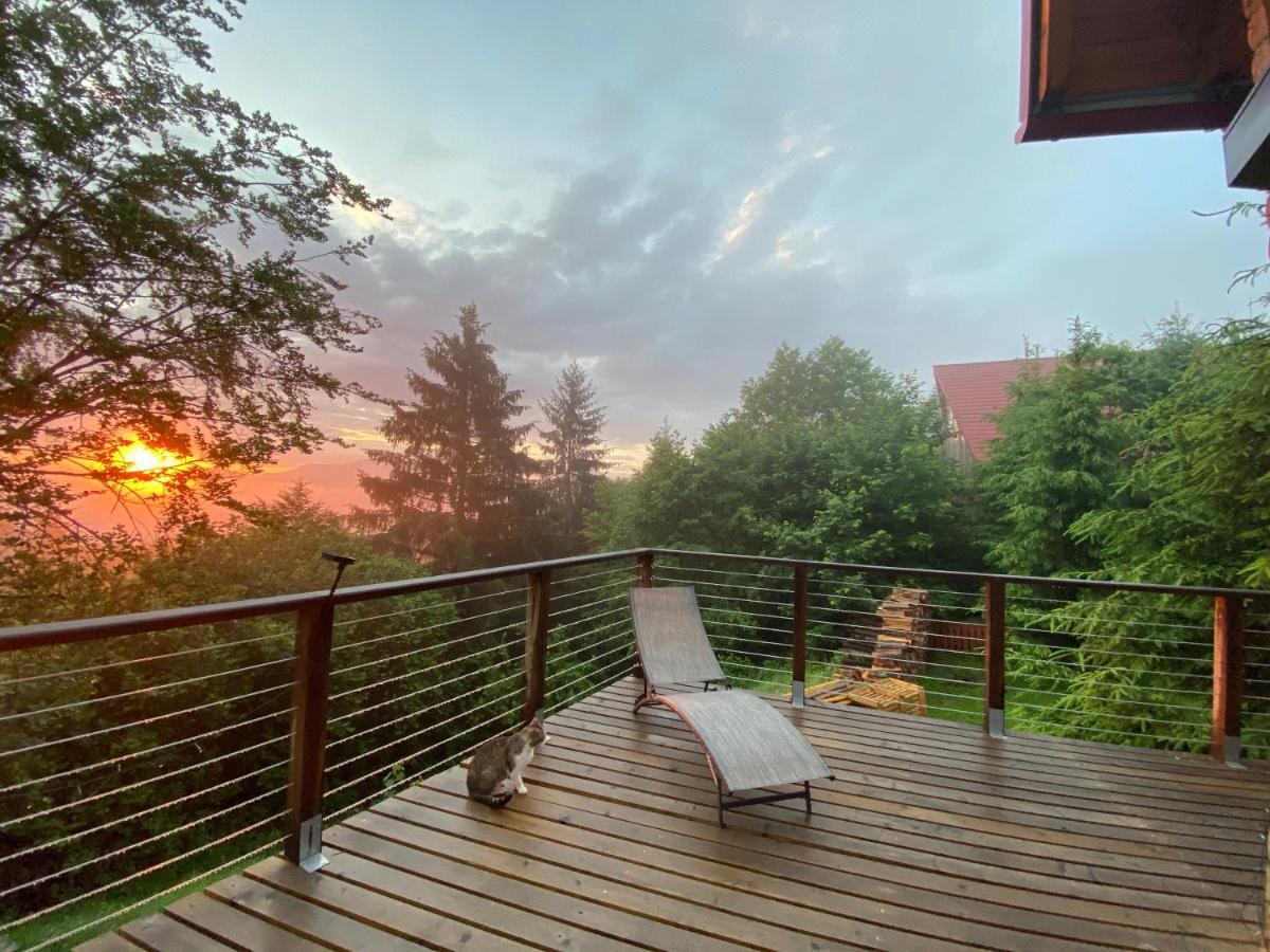 Carpathian Log Home Bran  Ngoại thất bức ảnh