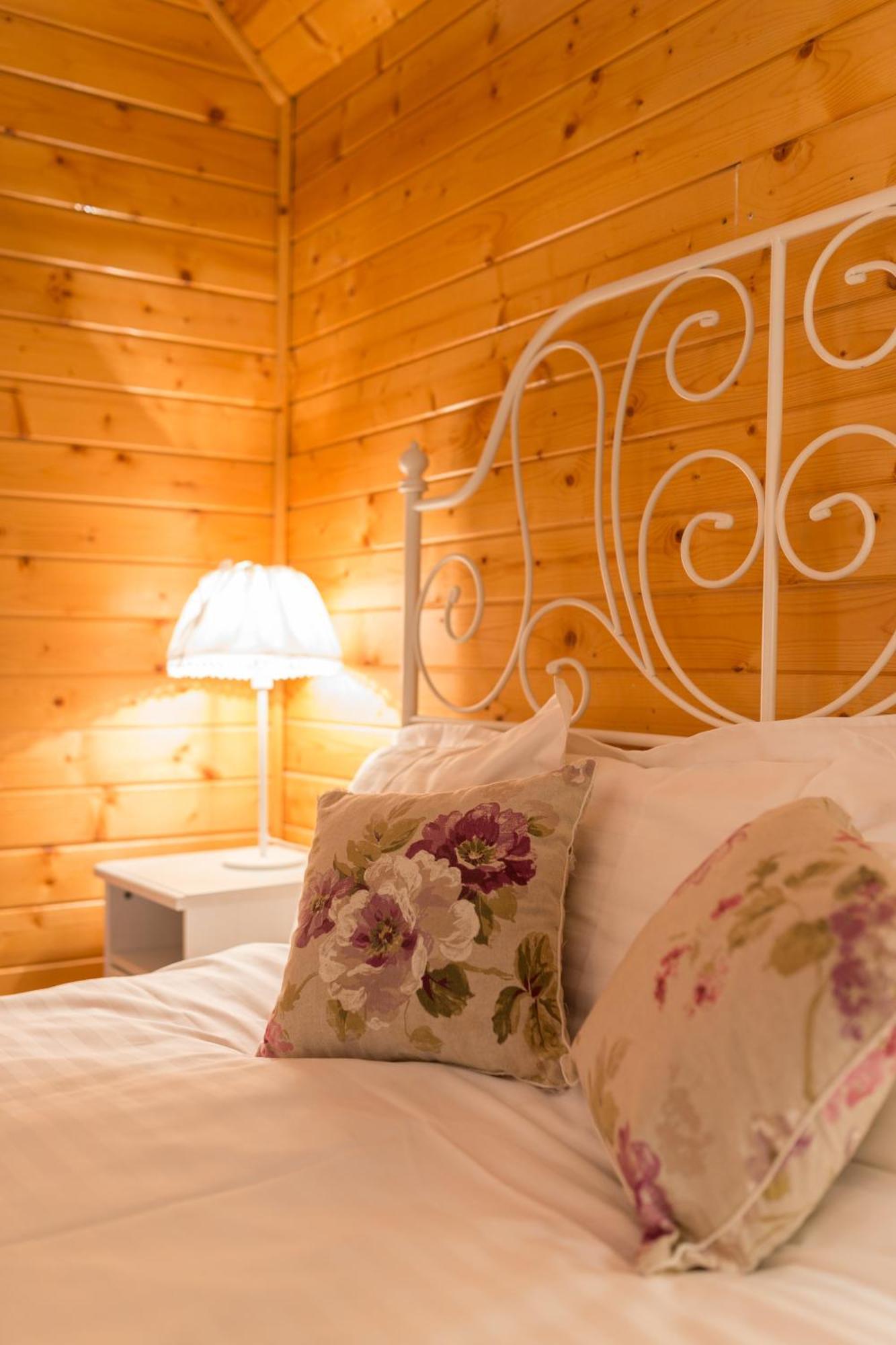 Carpathian Log Home Bran  Phòng bức ảnh